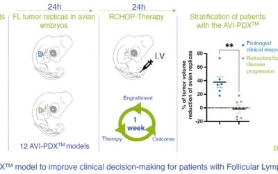 Follicular lymphoma AVI-PDX models to predict the response to RCHOP